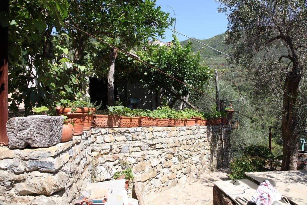 Le Case Della Lizza - Casa Blu Levanto Exterior foto
